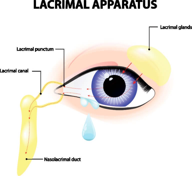 Procedures For Tearing Issues